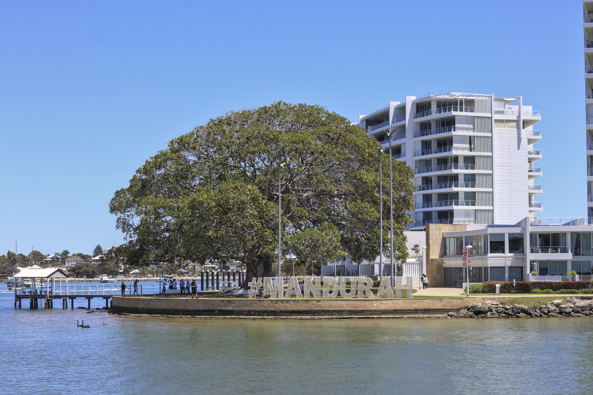 Mandurah waterfront with apartments and large tree